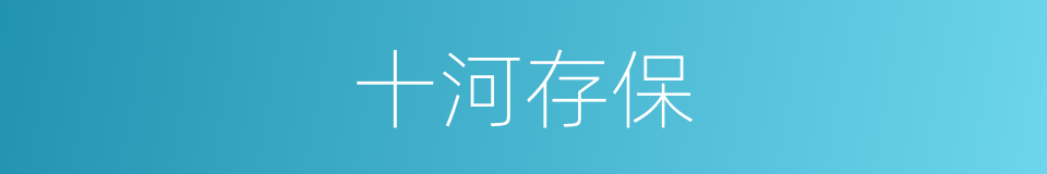 十河存保的近义词 十河存保的反义词 十河存保的同义词 相似词查询