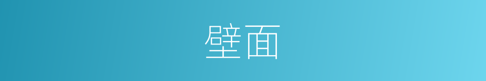 壁面是什么意思 汉语词典