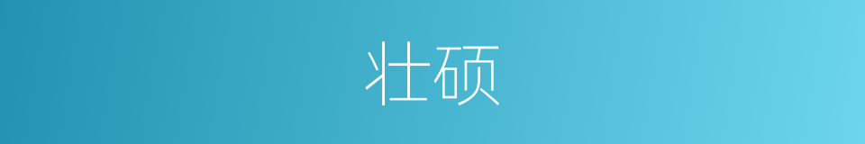 壮硕的近义词_壮硕的反义词_壮硕的同义词 - 相似词查询