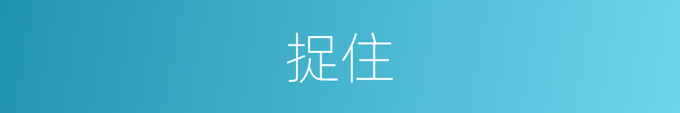 捉住的近义词_捉住的反义词_捉住的同义词 - 相似词查询