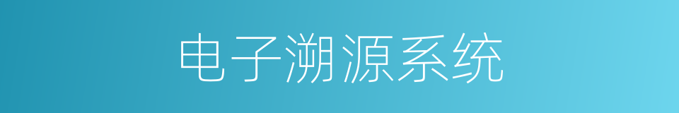 电子溯源系统是什么意思 汉语词典