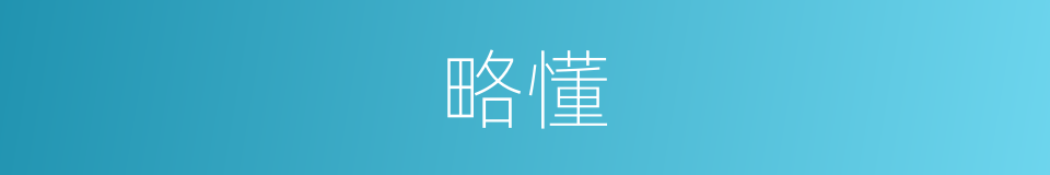 略懂的意思 - 汉语词典