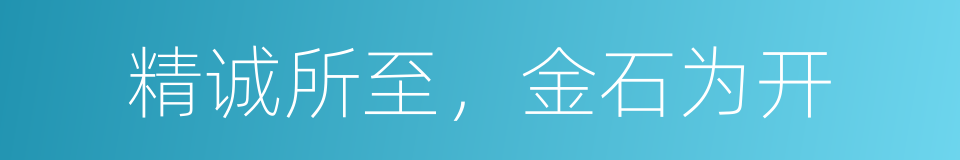 精诚所至 金石为开的近义词 精诚所至 金石为开的反义词 精诚所至 金石为开的同义词 相似词查询