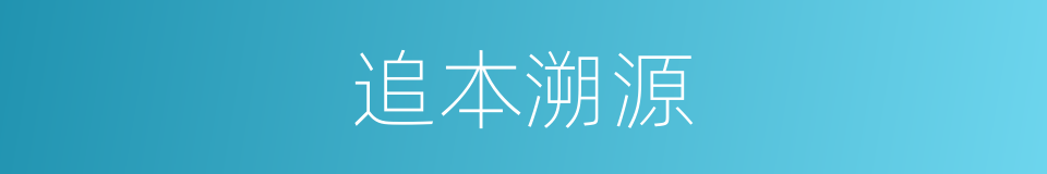 追本溯源的近义词 追本溯源的反义词 追本溯源的同义词 相似词查询