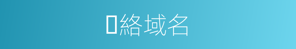 ⽹絡域名的同義詞