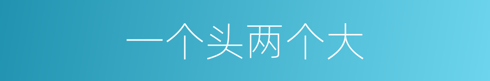 一个头两个大的意思