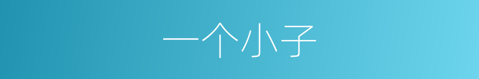 一个小子的同义词