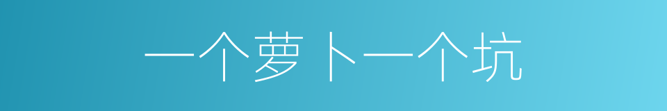一个萝卜一个坑的意思