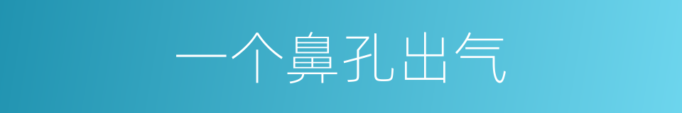 一个鼻孔出气的意思