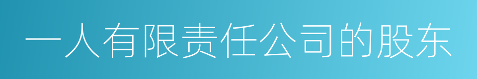 一人有限责任公司的股东的同义词