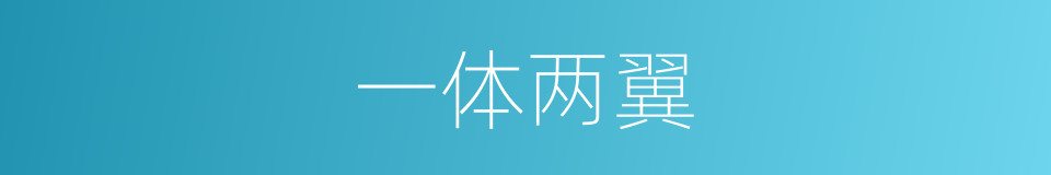 一体两翼的意思