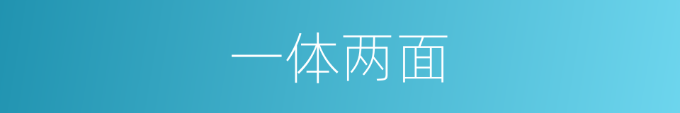 一体两面的同义词
