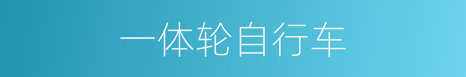 一体轮自行车的同义词