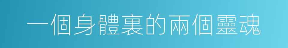 一個身體裏的兩個靈魂的同義詞
