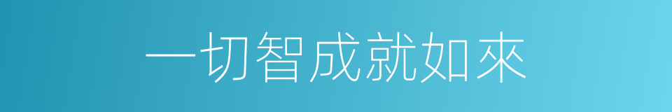 一切智成就如來的同義詞