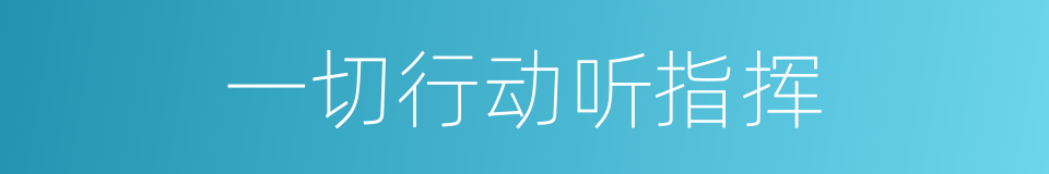 一切行动听指挥的同义词