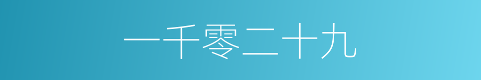 一千零二十九的同义词