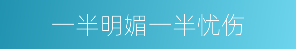 一半明媚一半忧伤的同义词