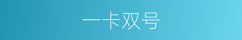 一卡双号的同义词