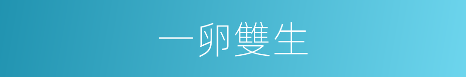一卵雙生的同義詞