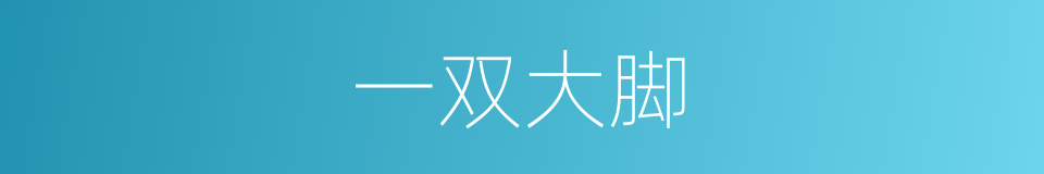 一双大脚的同义词