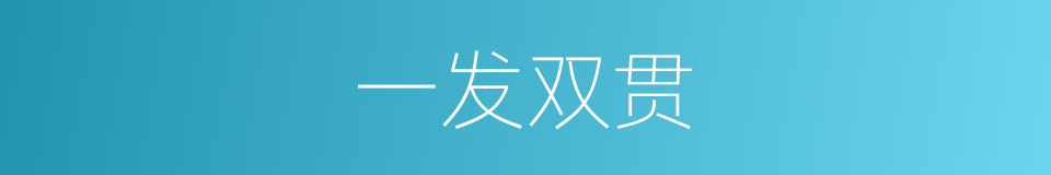 一发双贯的意思