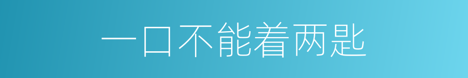 一口不能着两匙的意思