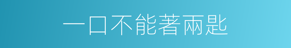 一口不能著兩匙的意思
