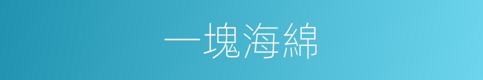 一塊海綿的同義詞