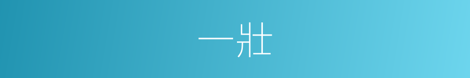 一壯的意思
