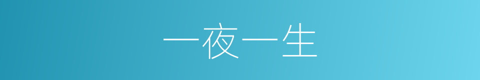 一夜一生的同义词