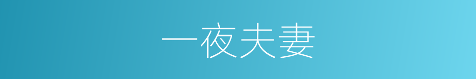 一夜夫妻的同义词