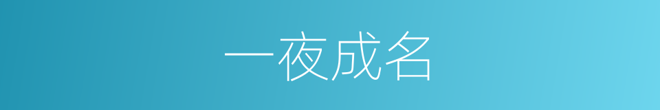 一夜成名的同义词
