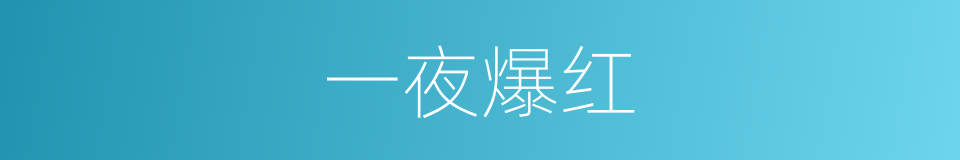 一夜爆红的同义词