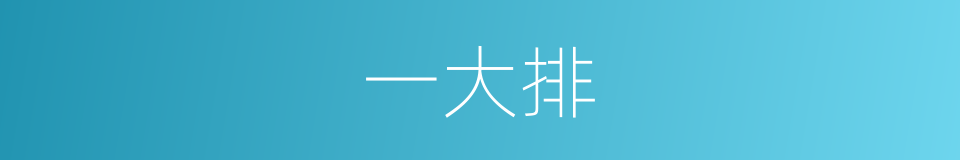 一大排的同义词