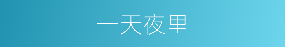 一天夜里的同义词