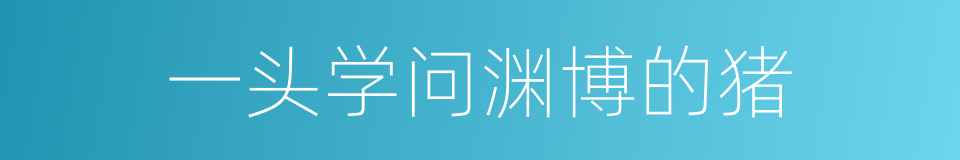 一头学问渊博的猪的同义词