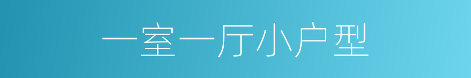 一室一厅小户型的同义词