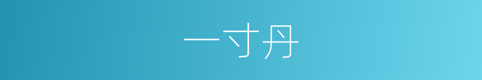 一寸丹的意思