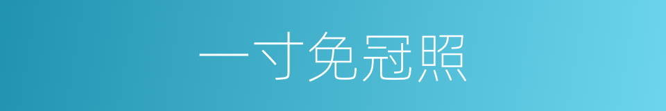 一寸免冠照的同义词