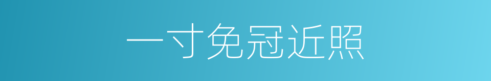 一寸免冠近照的同义词