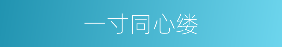 一寸同心缕的同义词