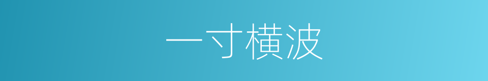 一寸横波的同义词
