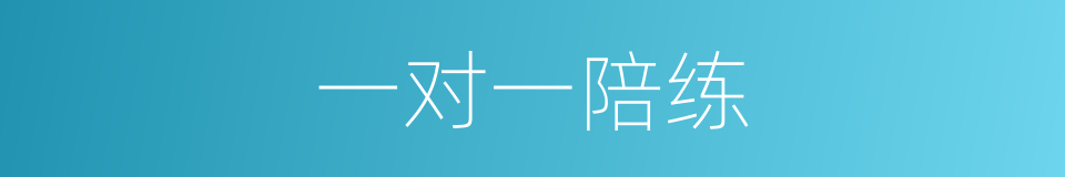 一对一陪练的同义词