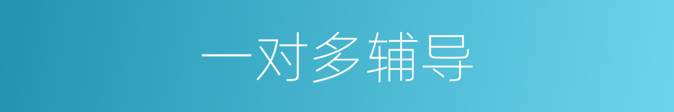 一对多辅导的同义词