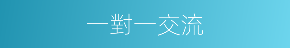 一對一交流的同義詞