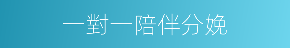 一對一陪伴分娩的同義詞