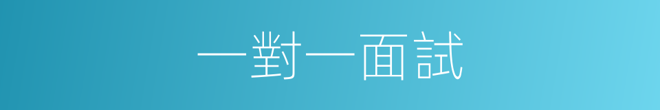 一對一面試的同義詞