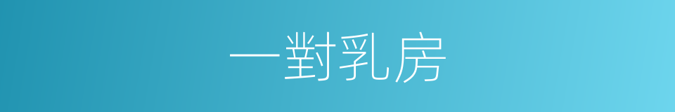 一對乳房的同義詞