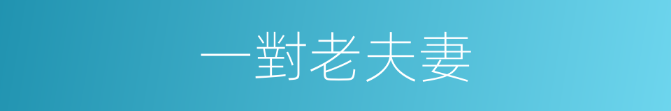 一對老夫妻的同義詞